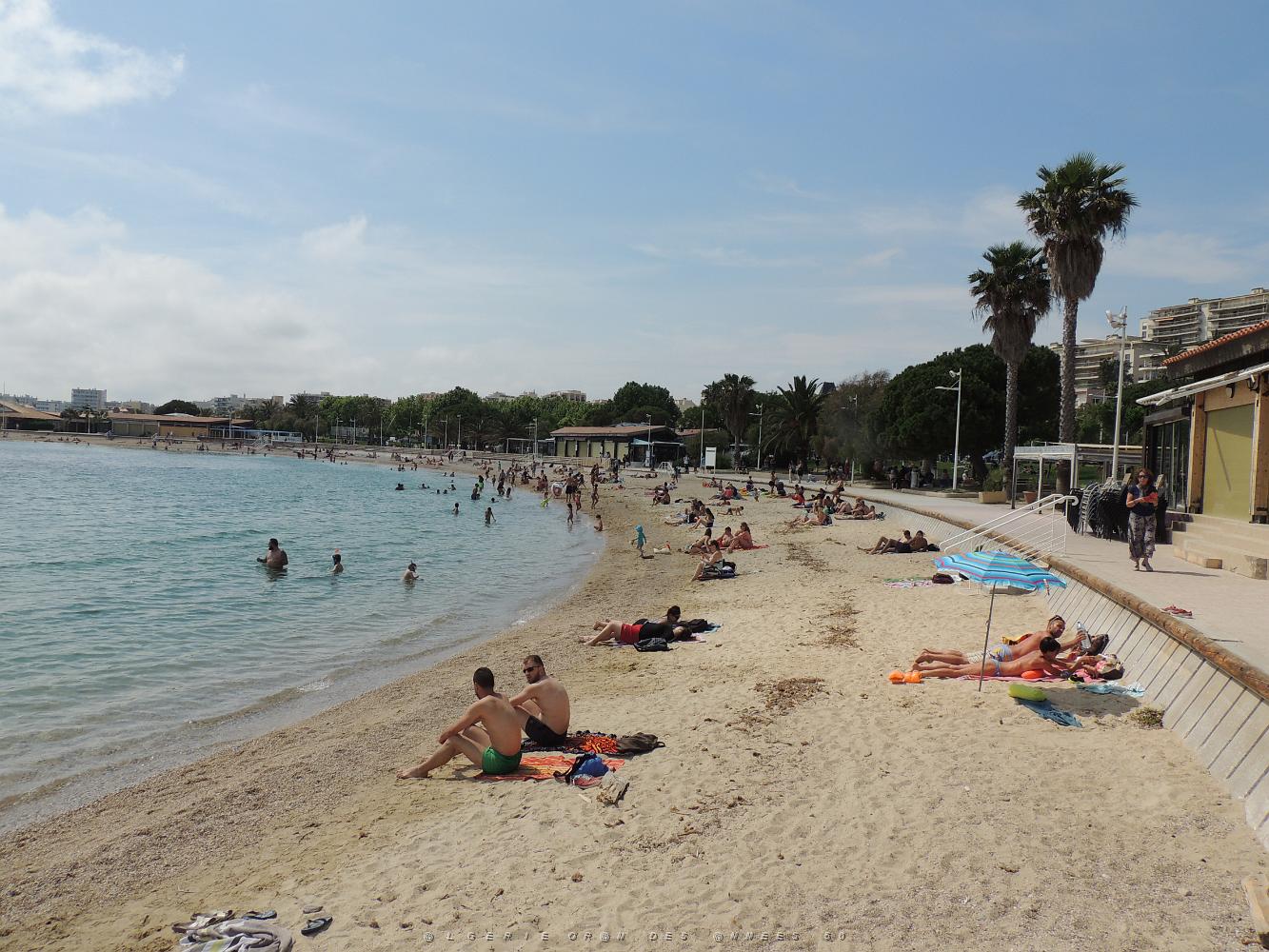 20200523 PLAGES DU MOURILLON (14).JPG -           